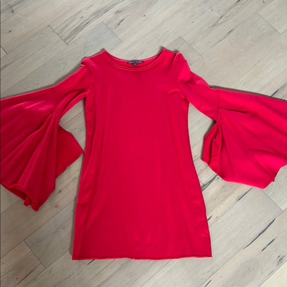 Red Ruffled Sleeve Dress - Picture 4 of 5